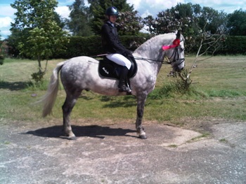 Abbey Winterburn Wins the 1m Pony British Showjumping Club Class at Wing, Bedfordshire